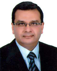 Prof. Dr. Hesham Abo Eleinein